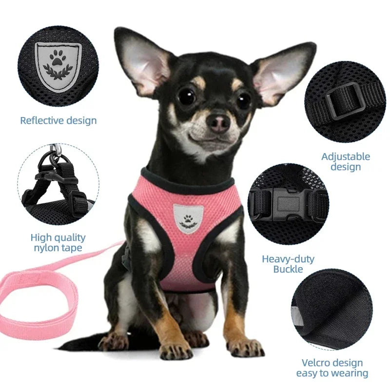 Breathable Mesh Harness & Leash Set for Cats & Dogs