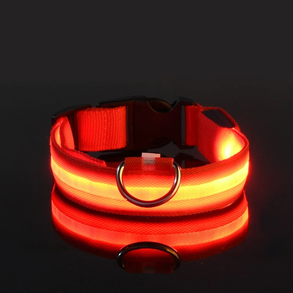 LED Light-Up Nylon Dog Collar for Night Safety