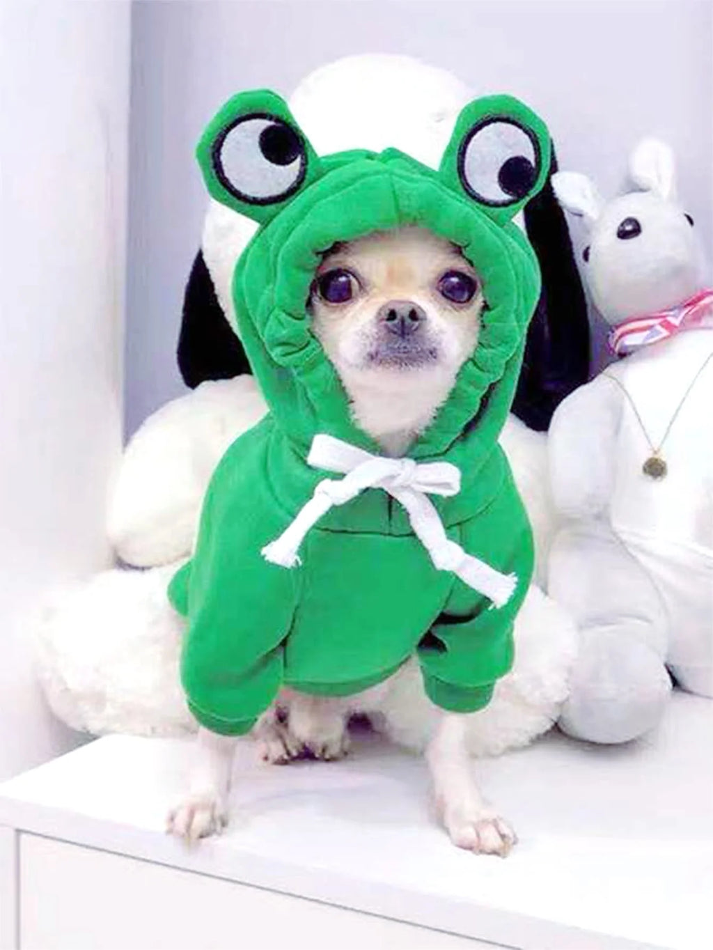 Frog Design Sweater for Dogs & Cats