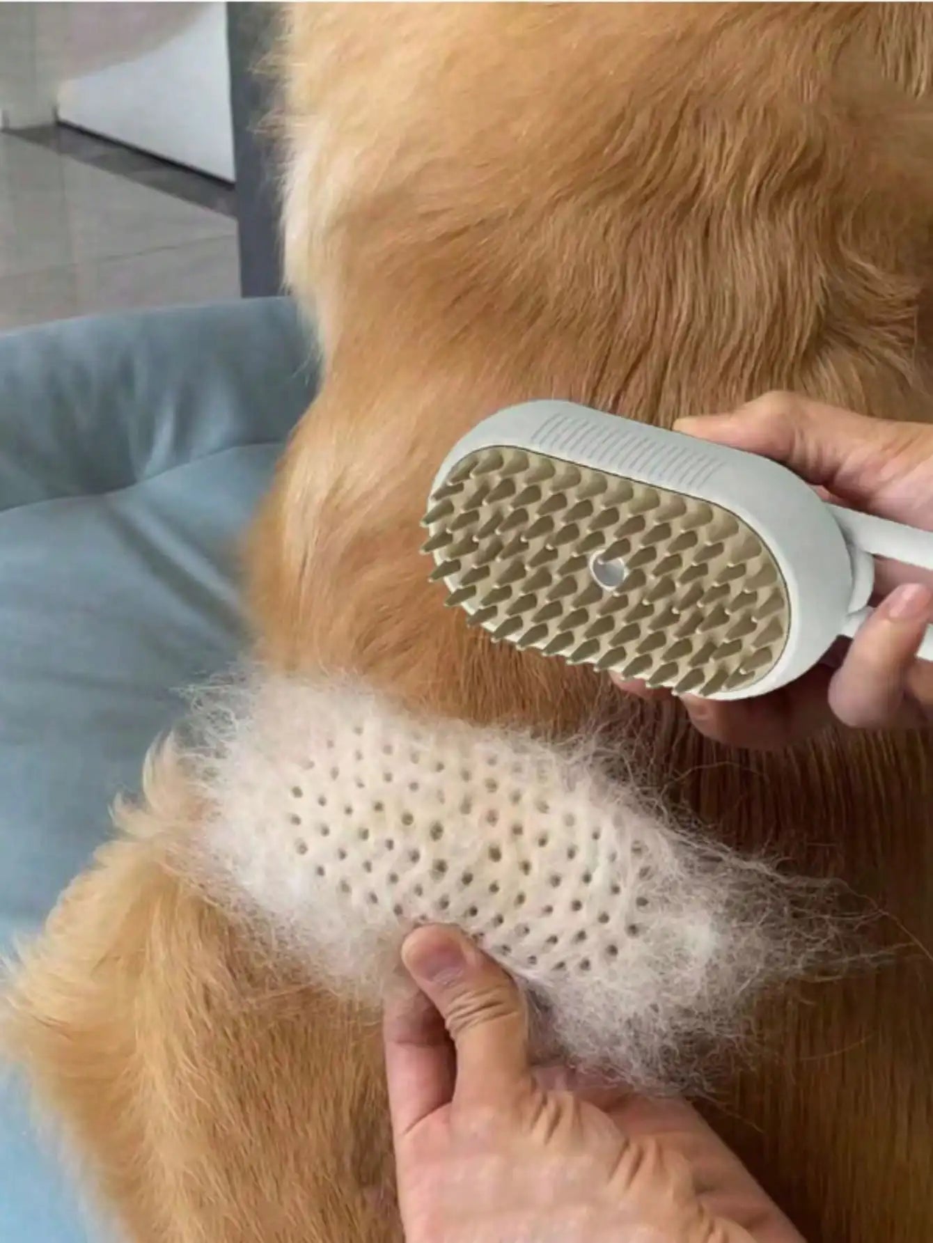 4-in-1 Pet Steam Brush