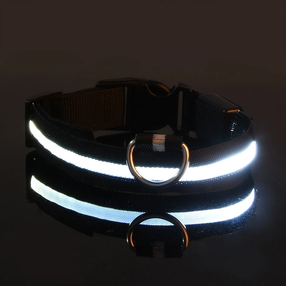 LED Light-Up Nylon Dog Collar for Night Safety