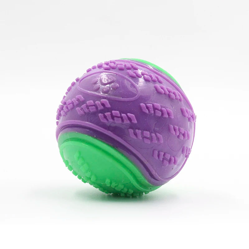 Squeaky TPR Chew Ball for Dogs