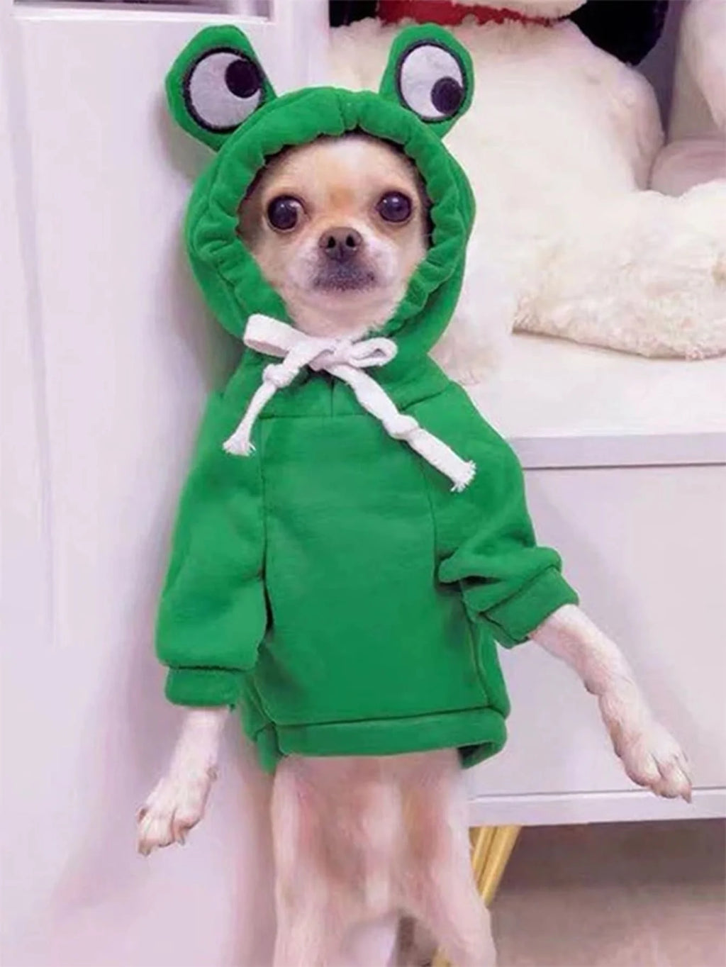 Frog Design Sweater for Dogs & Cats
