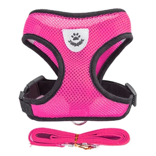 Breathable Mesh Harness & Leash Set for Cats & Dogs