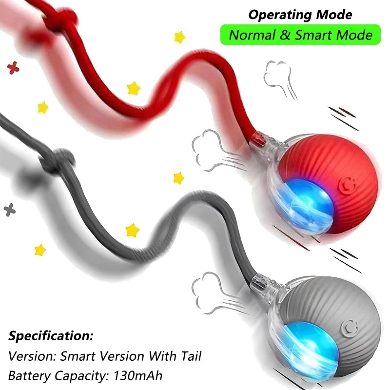 Velmora ChaseTail™ Interactive Ball