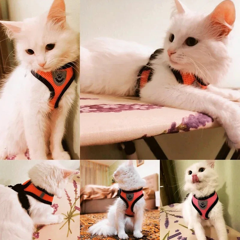 Breathable Mesh Harness & Leash Set for Cats & Dogs