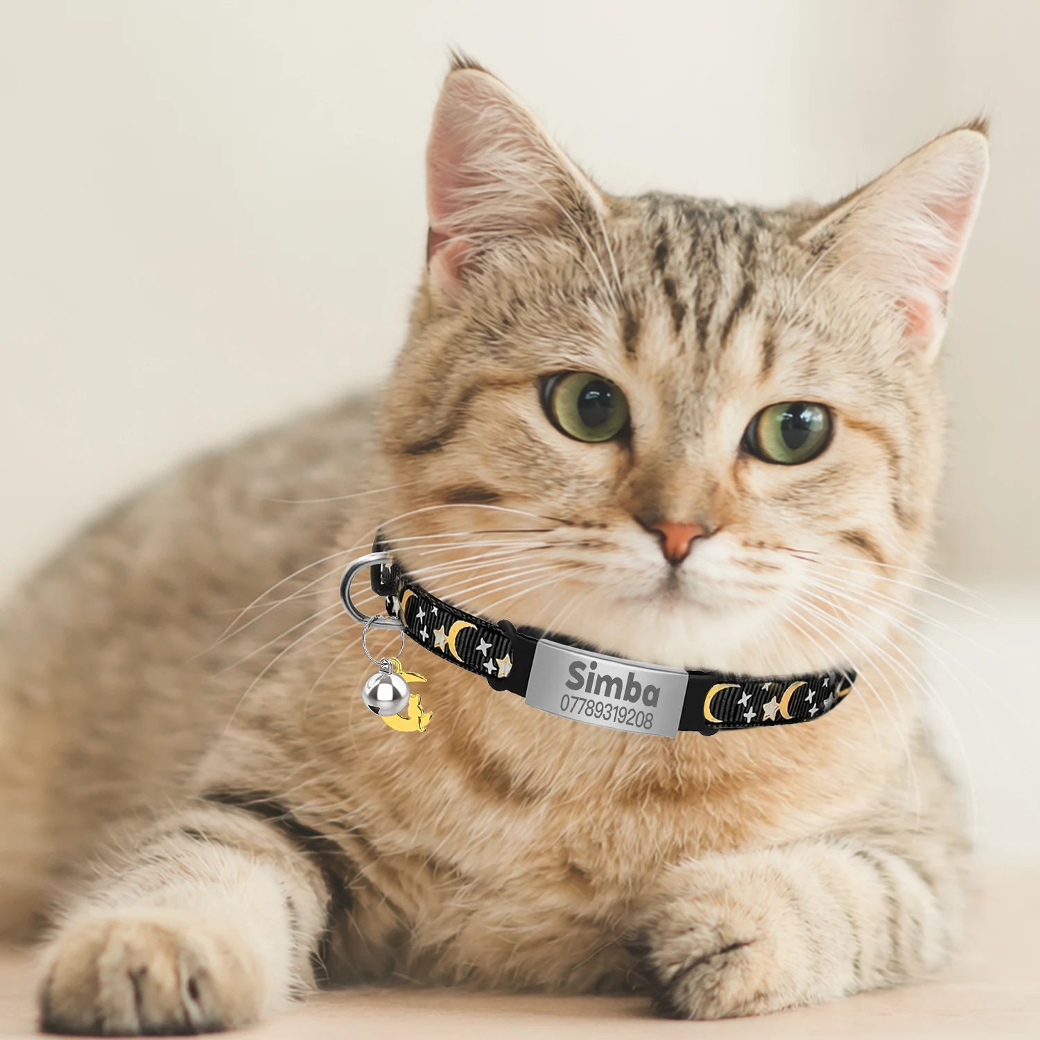 Glow-in-the-Dark Cat Collar with Bell & ID Charm