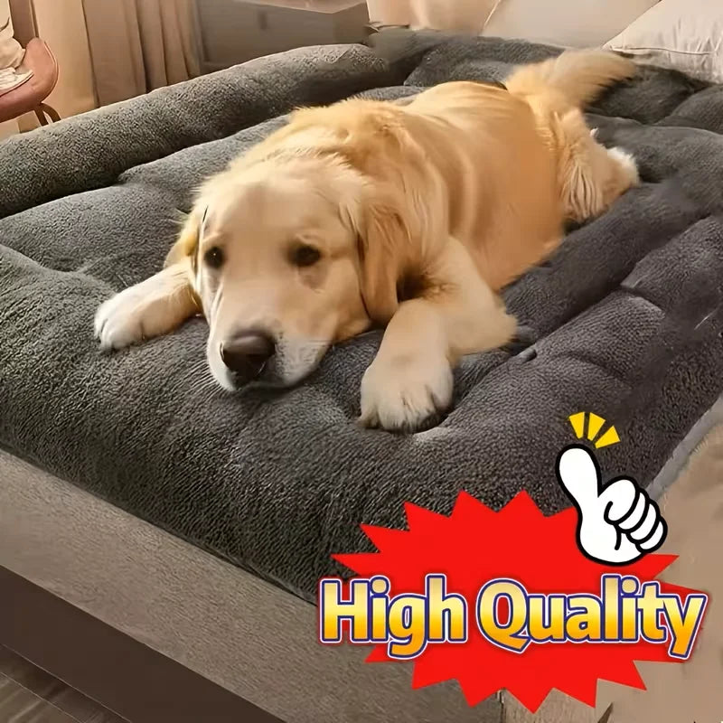 Velmora CozyNest™