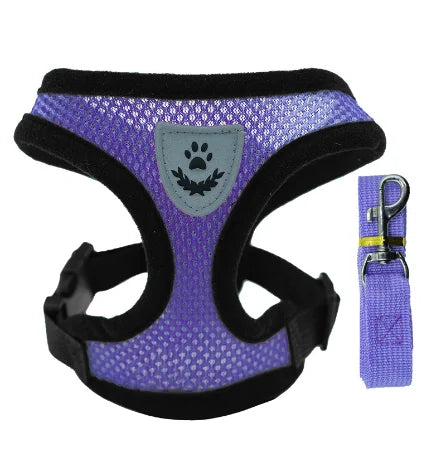 Breathable Mesh Harness & Leash Set for Cats & Dogs