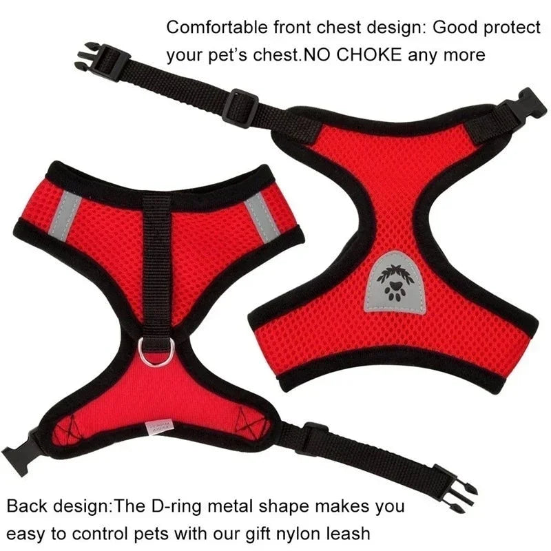 Breathable Mesh Harness & Leash Set for Cats & Dogs