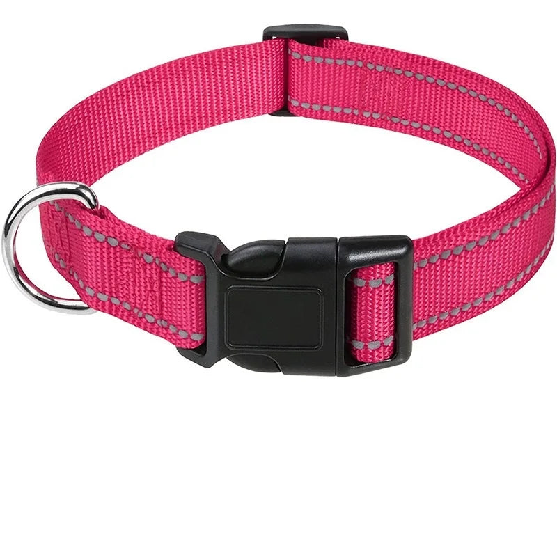 Adjustable Buckle Dog Collar with Paw Print Design