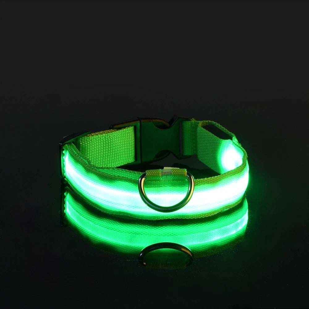LED Light-Up Nylon Dog Collar for Night Safety