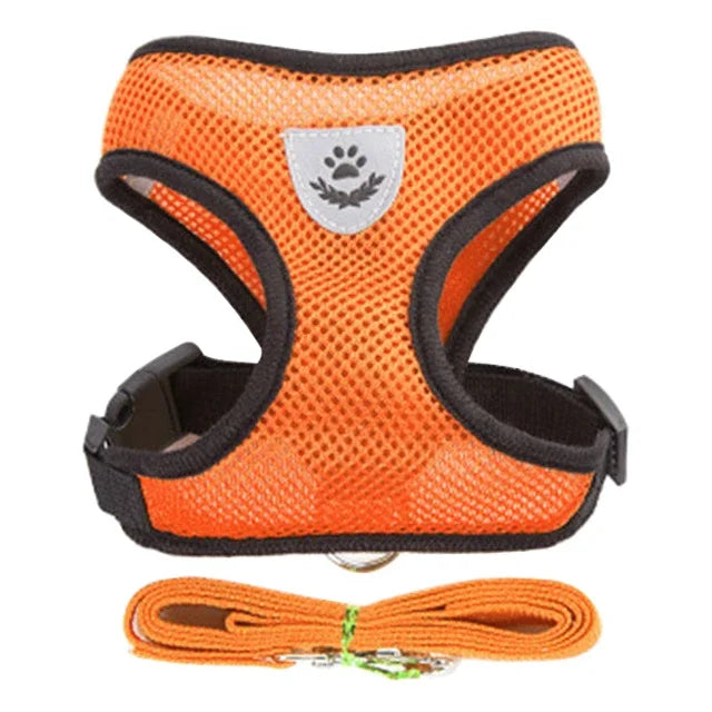 Breathable Mesh Harness & Leash Set for Cats & Dogs