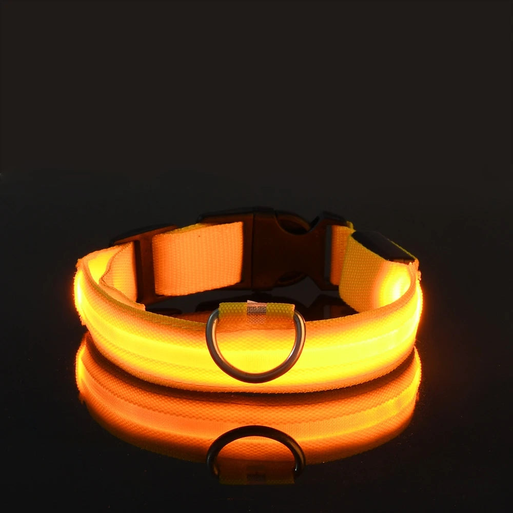 LED Light-Up Nylon Dog Collar for Night Safety