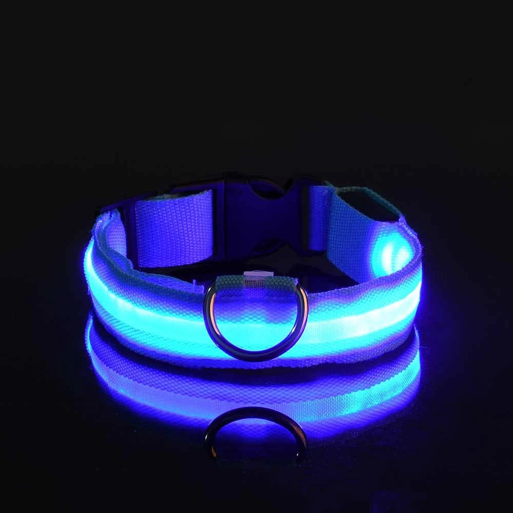 LED Light-Up Nylon Dog Collar for Night Safety