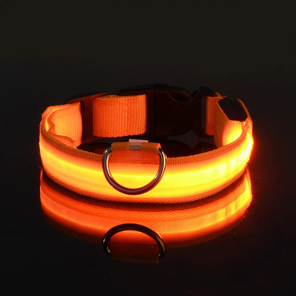 LED Light-Up Nylon Dog Collar for Night Safety