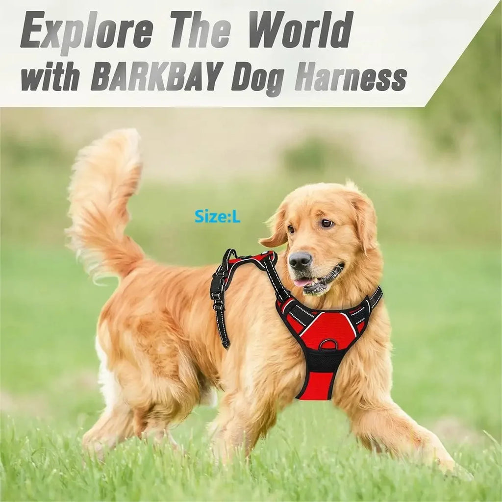 Leather Dog Collar, Harness & Leash 3-Piece Set