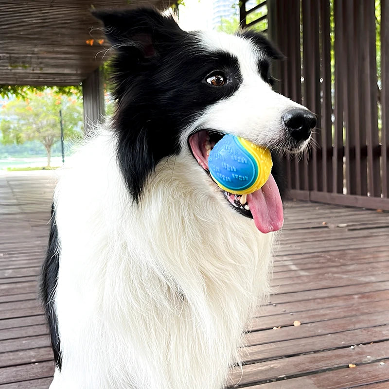 Squeaky TPR Chew Ball for Dogs