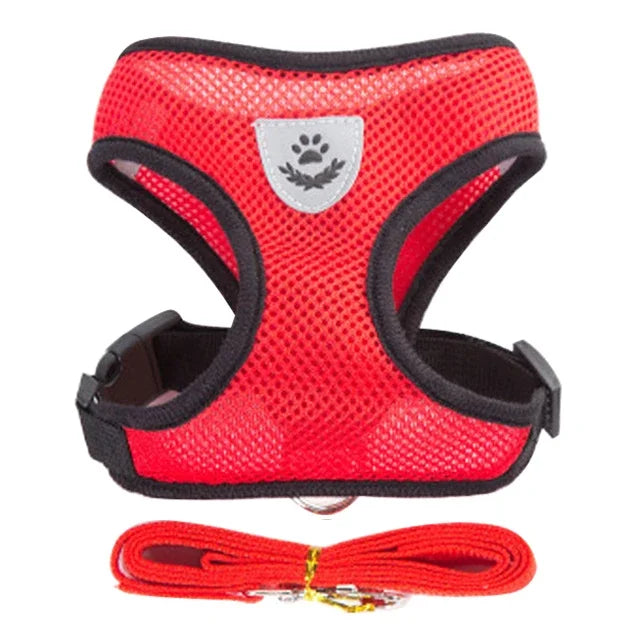 Breathable Mesh Harness & Leash Set for Cats & Dogs