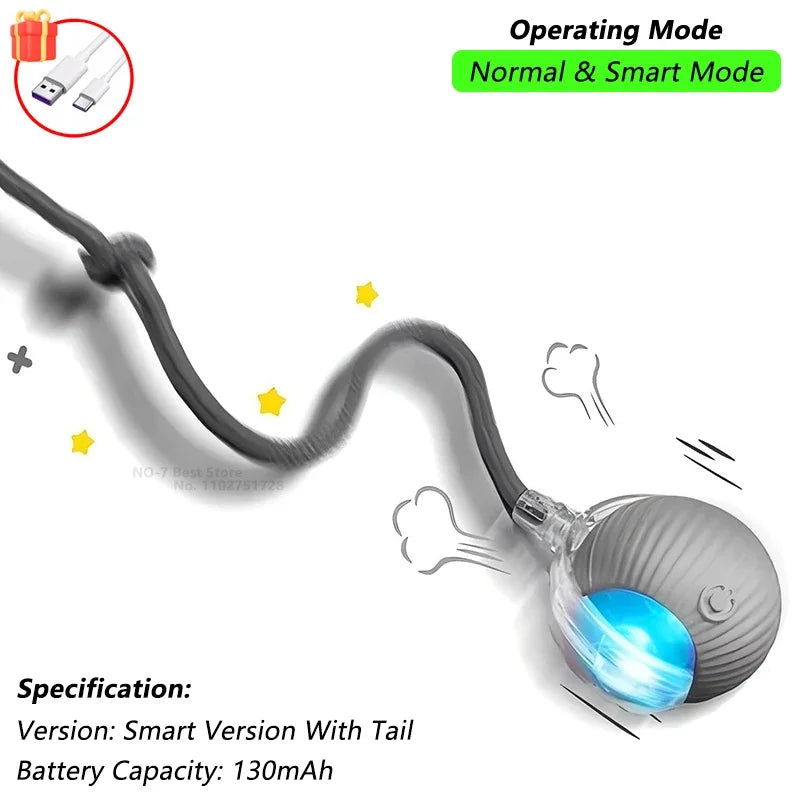 Velmora ChaseTail™ Interactive Ball