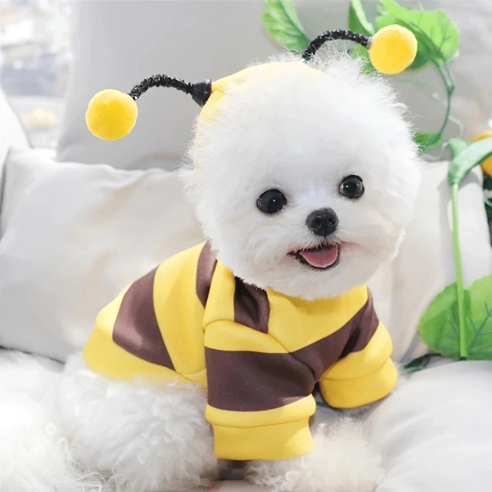 Bee Costume Hoodie for Dogs & Cats