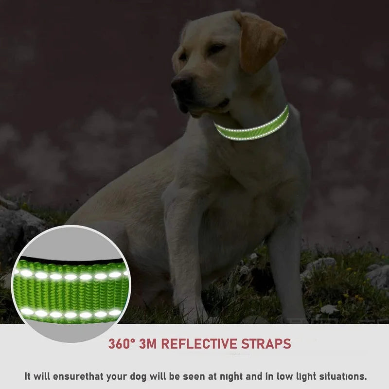 Adjustable Buckle Dog Collar with Paw Print Design