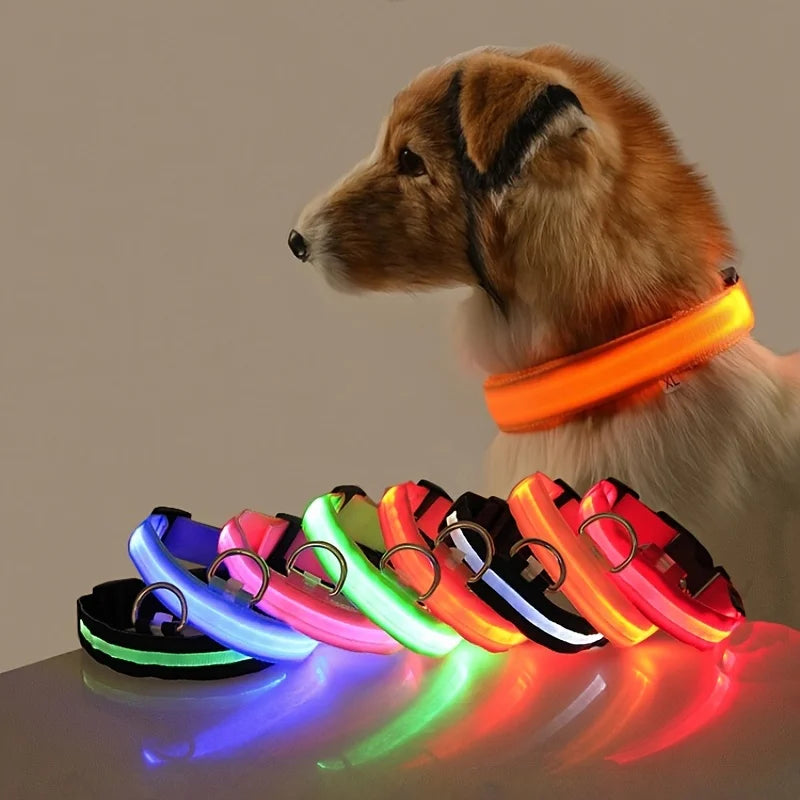 LED Light-Up Nylon Dog Collar for Night Safety