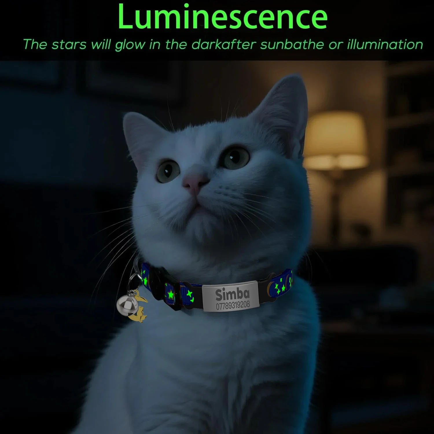 Glow-in-the-Dark Cat Collar with Bell & ID Charm