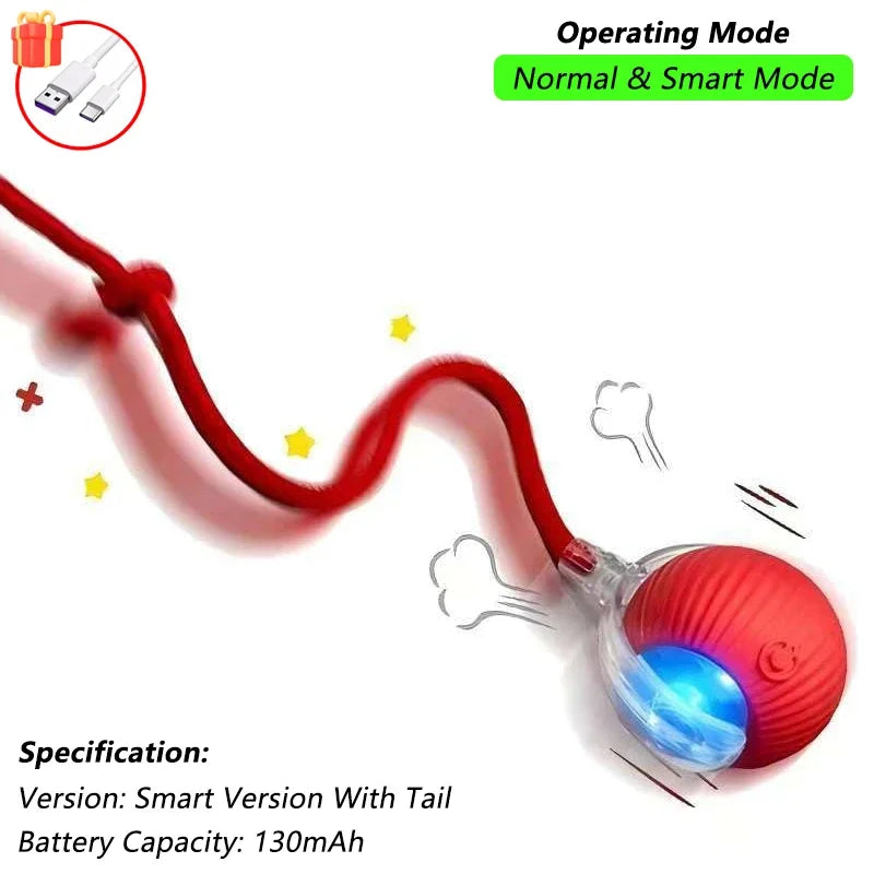 Velmora ChaseTail™ Interactive Ball