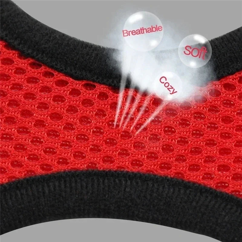 Breathable Mesh Harness & Leash Set for Cats & Dogs
