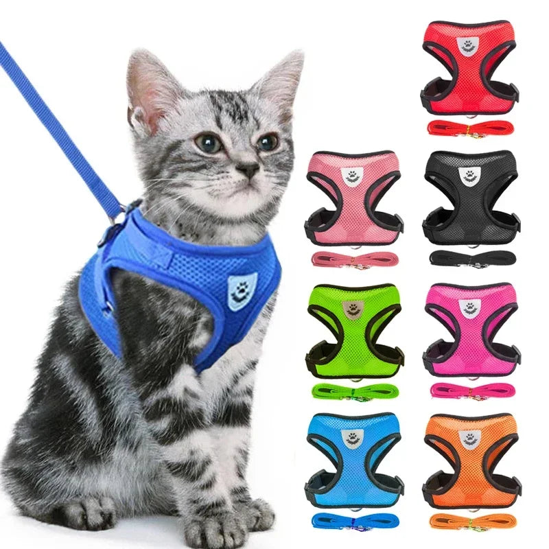 Breathable Mesh Harness & Leash Set for Cats & Dogs