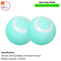 Velmora ChaseTail™ Interactive Ball