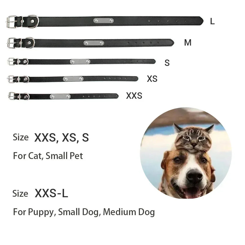 Personalized Leather Dog Collar with Engraved ID Tag