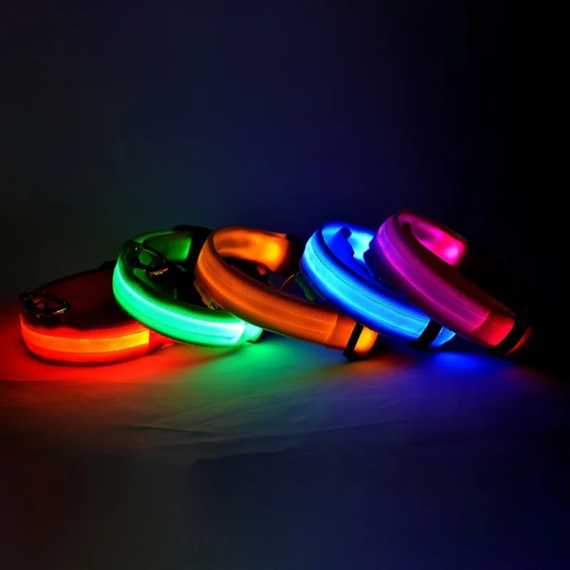 LED Light-Up Nylon Dog Collar for Night Safety