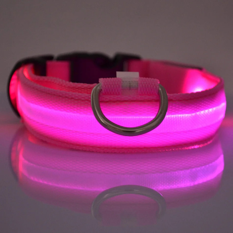 LED Light-Up Nylon Dog Collar for Night Safety