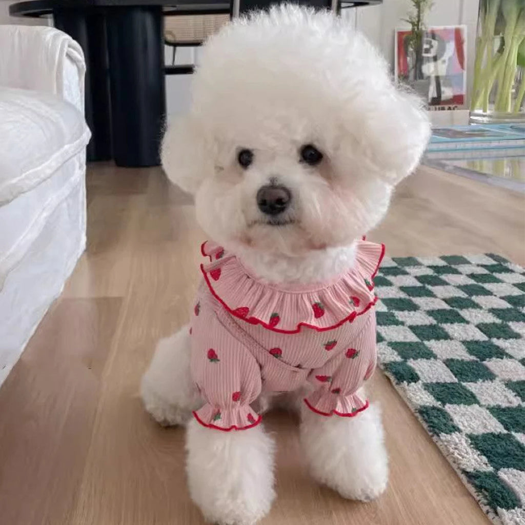 Strawberry Print Summer Dress for Small Dogs & Cats