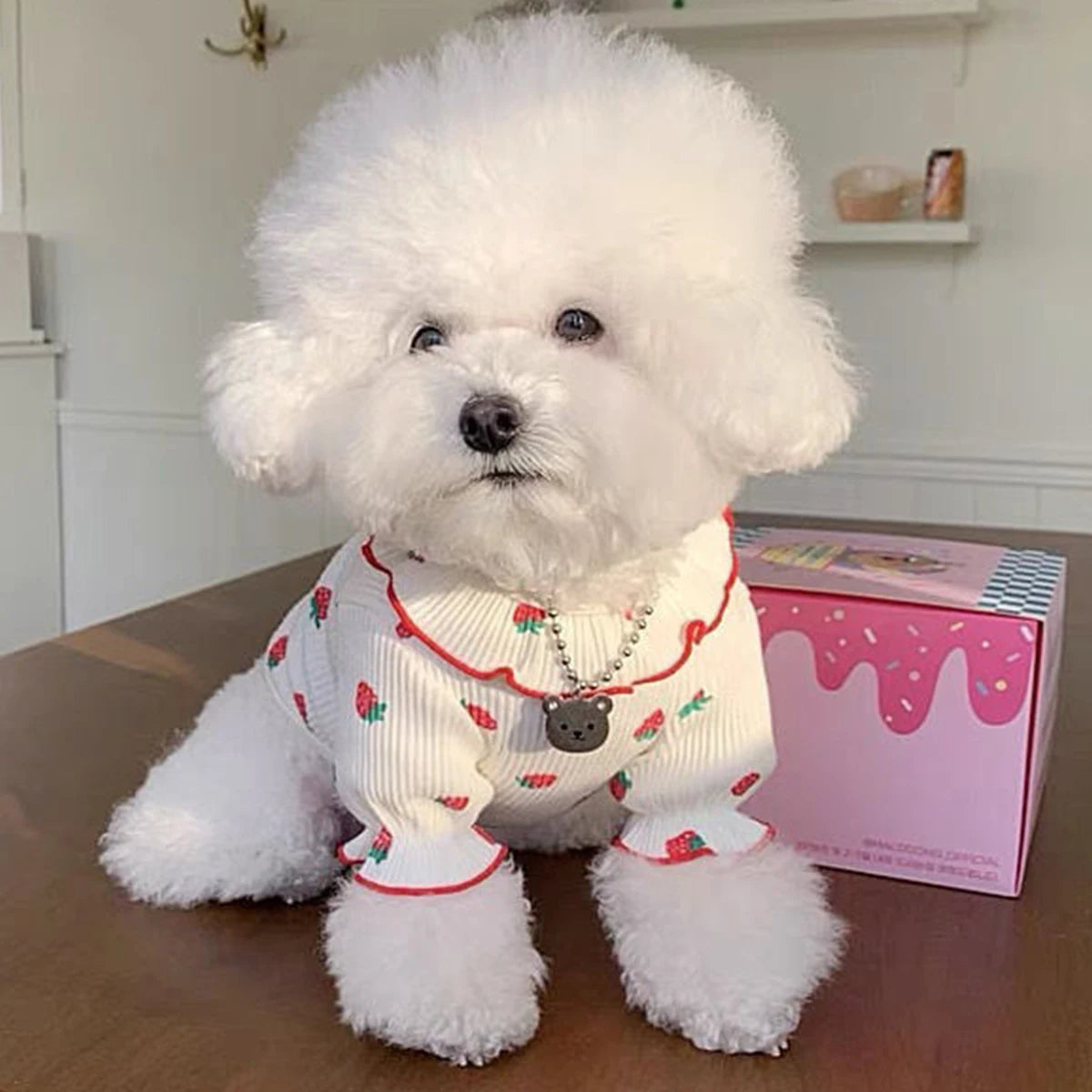 Strawberry Print Summer Dress for Small Dogs & Cats