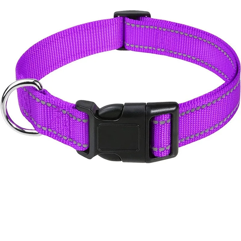 Adjustable Buckle Dog Collar with Paw Print Design