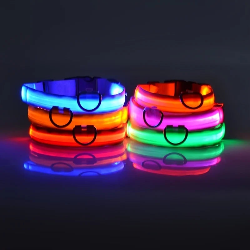LED Light-Up Nylon Dog Collar for Night Safety