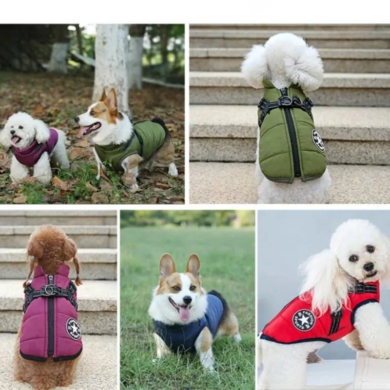 Winter Jacket with Built-In Harness for Large Dogs