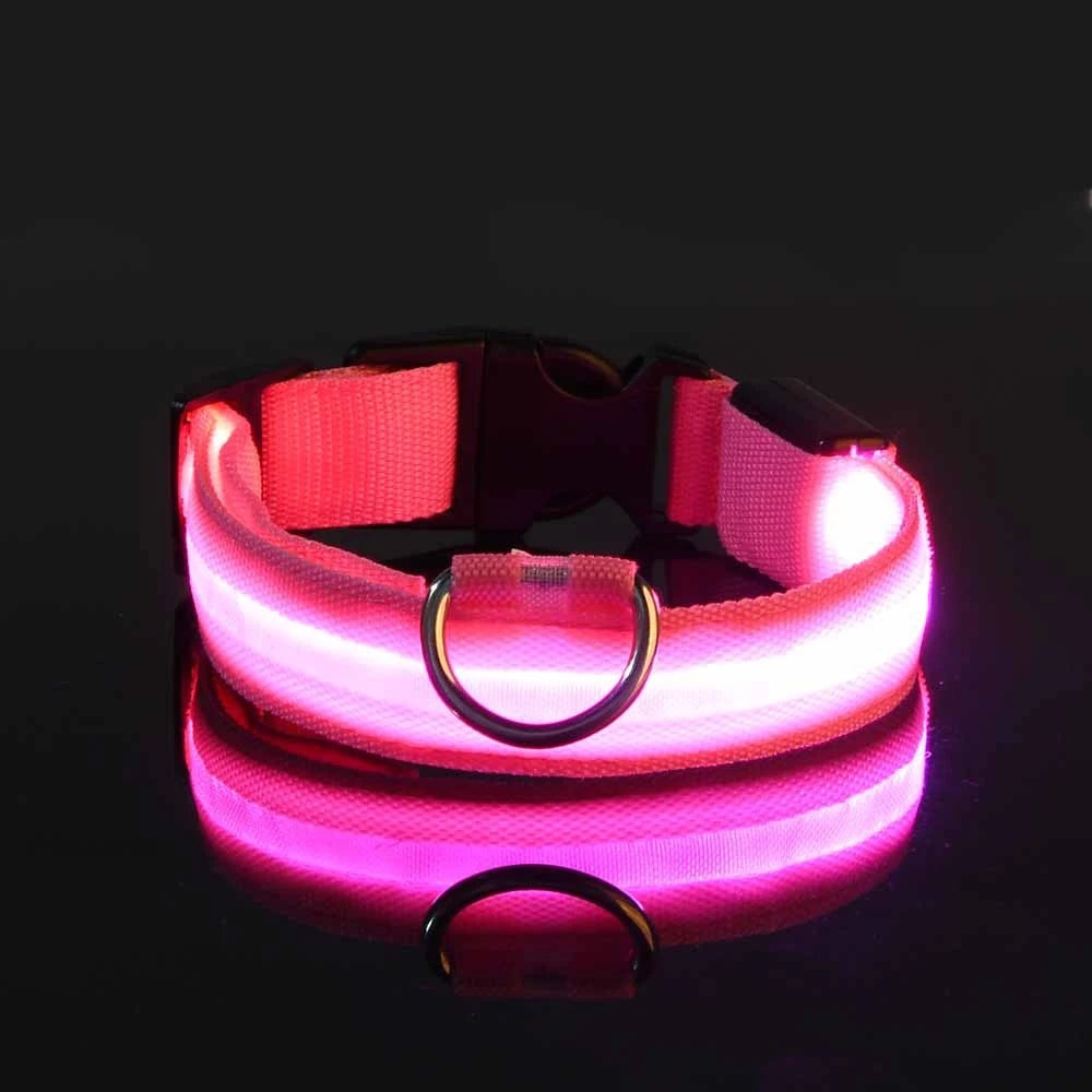 LED Light-Up Nylon Dog Collar for Night Safety