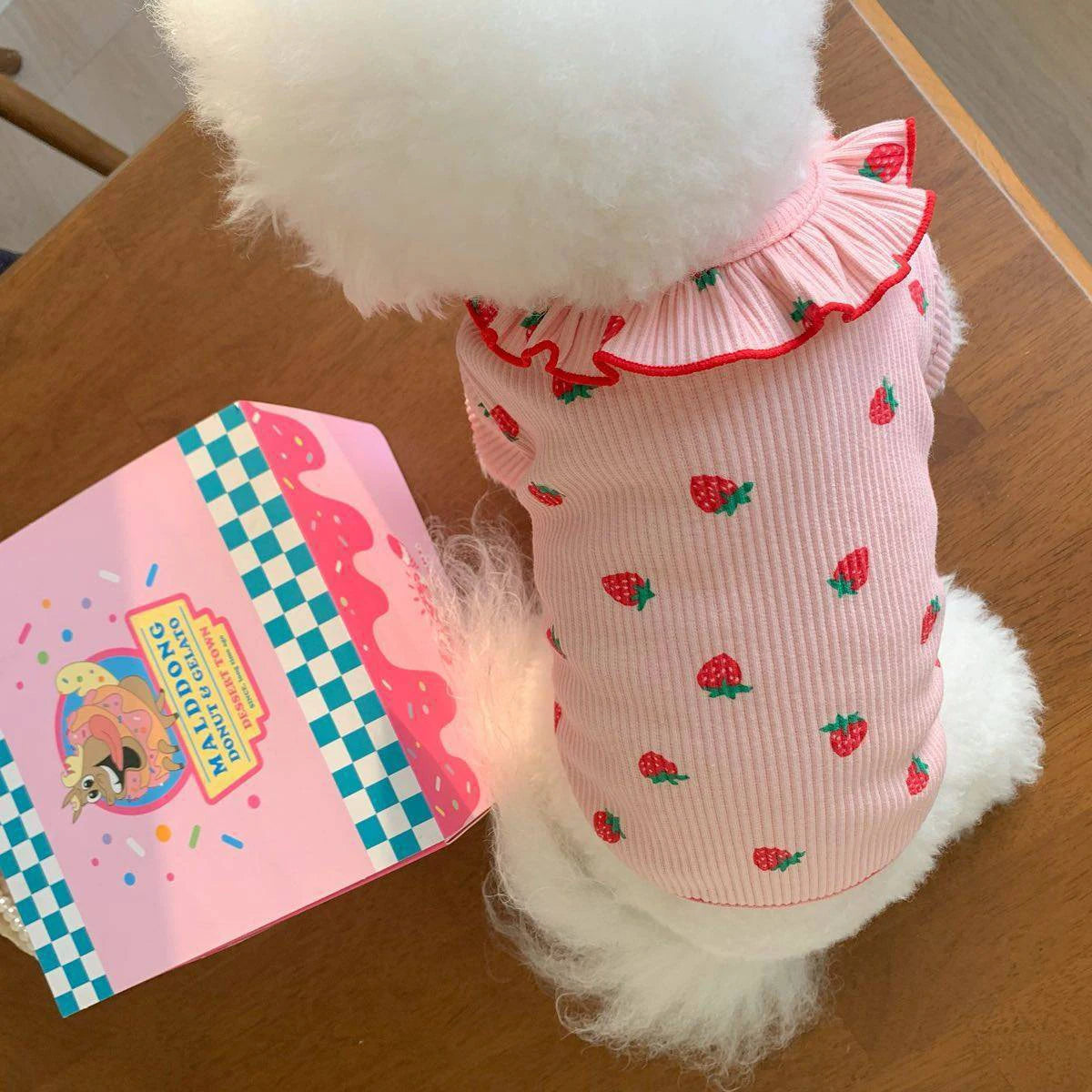 Strawberry Print Summer Dress for Small Dogs & Cats