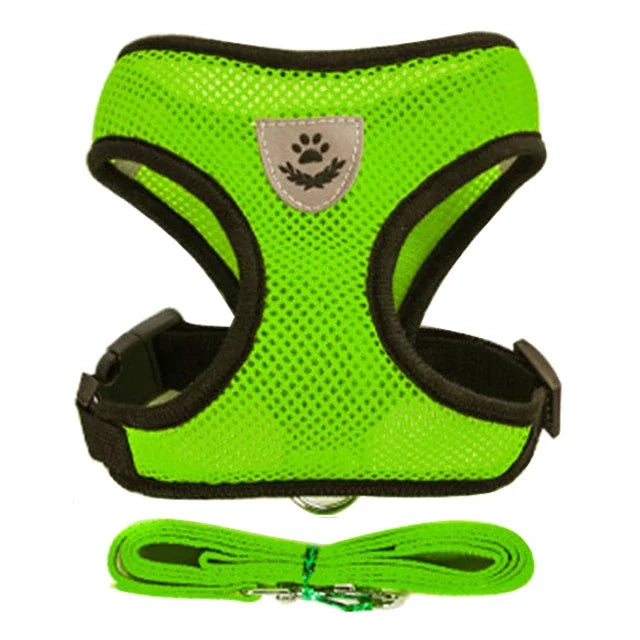 Breathable Mesh Harness & Leash Set for Cats & Dogs