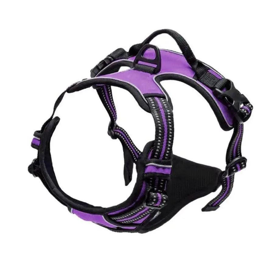 Leather Dog Collar, Harness & Leash 3-Piece Set