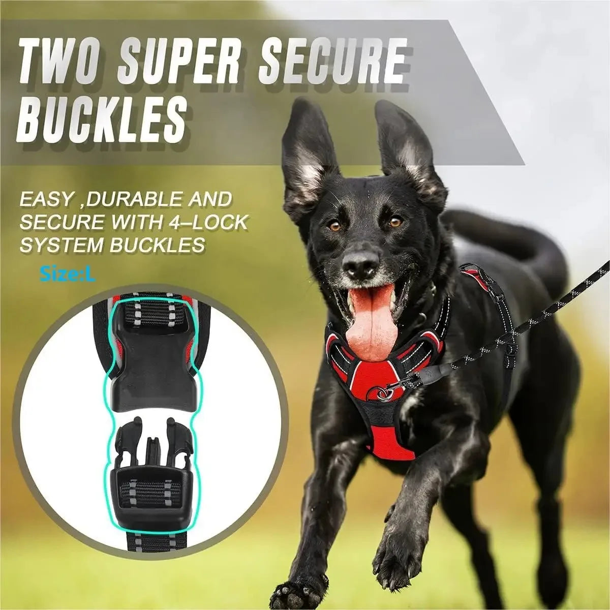 Leather Dog Collar, Harness & Leash 3-Piece Set