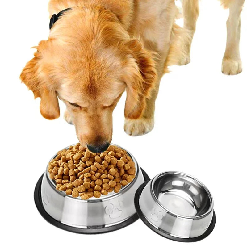 Velmora PetFeast