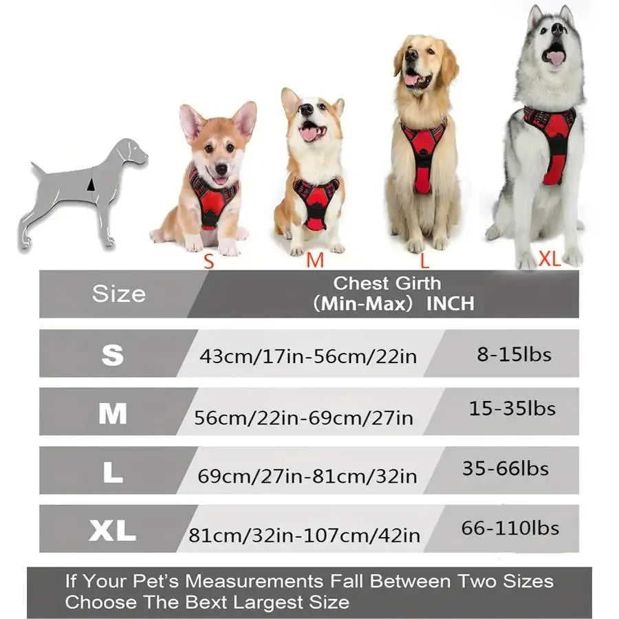 Leather Dog Collar, Harness & Leash 3-Piece Set