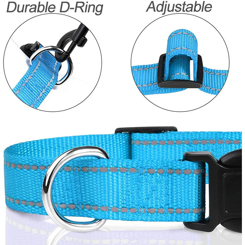 Adjustable Buckle Dog Collar with Paw Print Design
