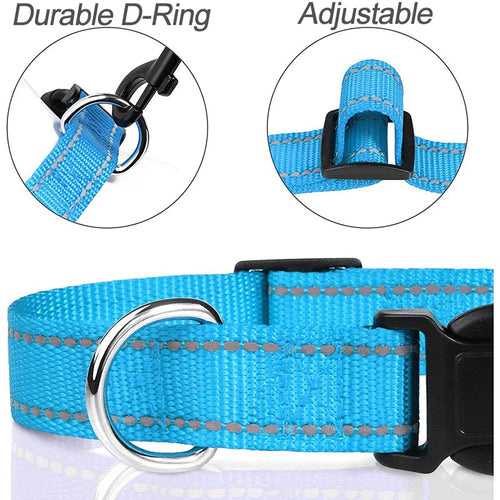 Adjustable Buckle Dog Collar with Paw Print Design