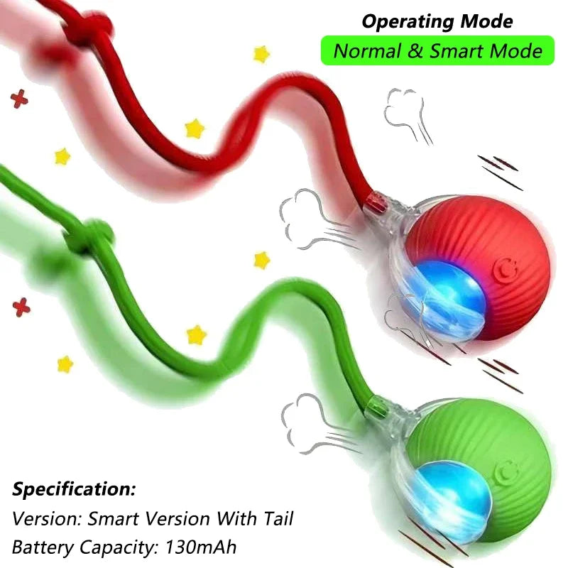 Velmora ChaseTail™ Interactive Ball